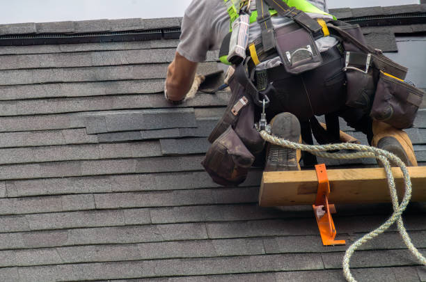 Reliable Roof Inspection contractor in Oldsmar, FL by Brentwood Metal Roofing